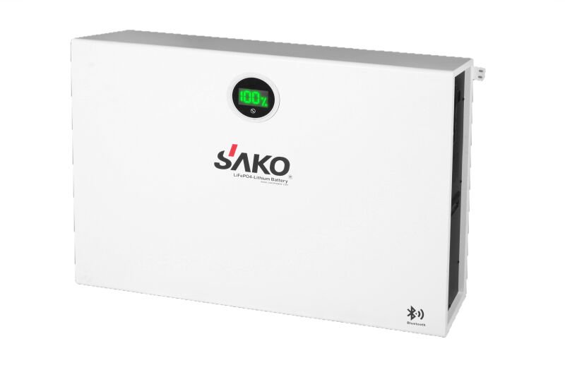 Li-Pack 51,2V-200Ah (LiFePo4)